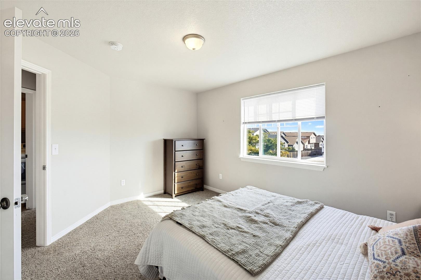Neutral wall paint, plush carpeting, ceiling-mounted light fixture, and a large horizontal window