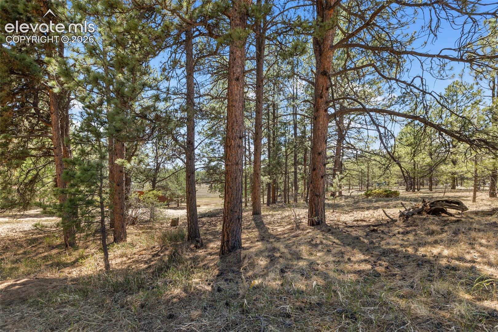 349 Rhyolite Ln, Florissant, CO 80816