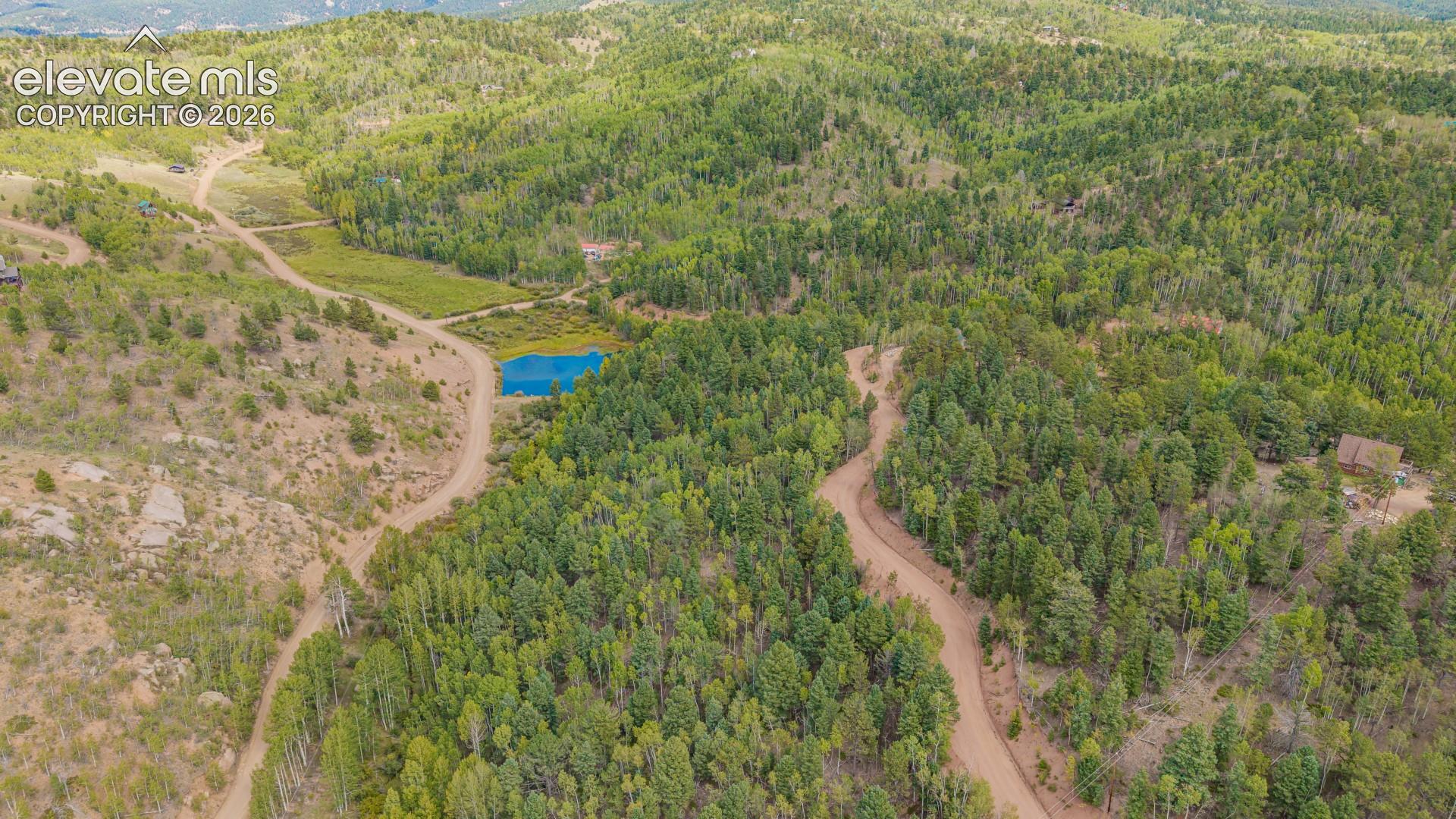 Photo 9 of 1034 Little Topsey Drive, Cripple Creek