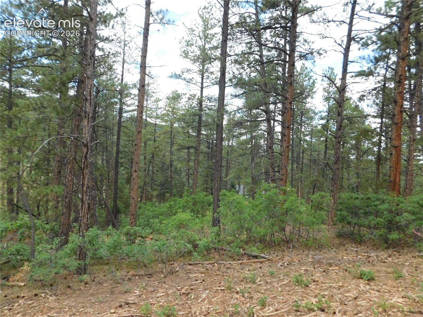 Photo 37 of 8139 Bannock Drive, Larkspur