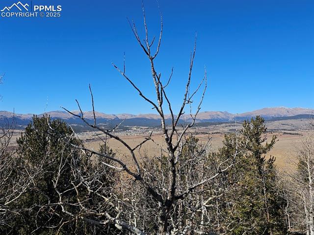 A view of the Continental Divide and Fairplay, a 10 minute drive.