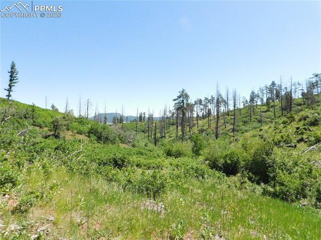 Photo 37 of 8249 Yuma Circle, Larkspur