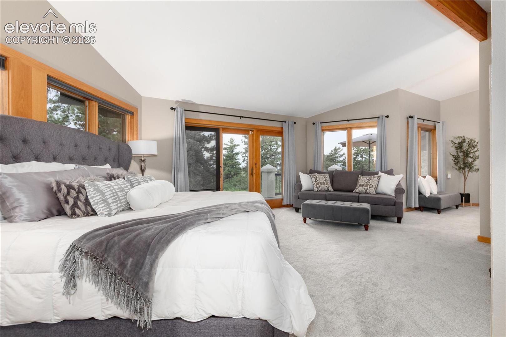 Spacious primary room featuring multiple windows with wood trim, light gray carpeting, and a visible wood beam
