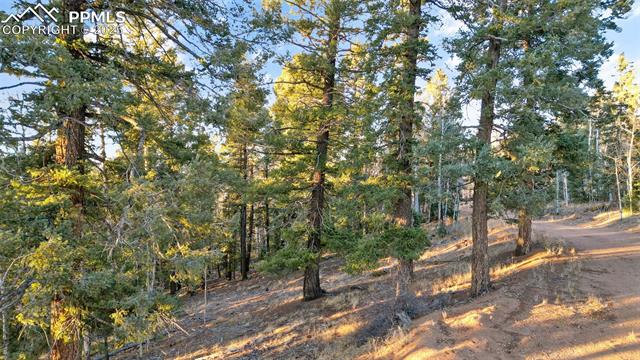 Photo 16 of 1289 Yorktown Road, Cripple Creek
