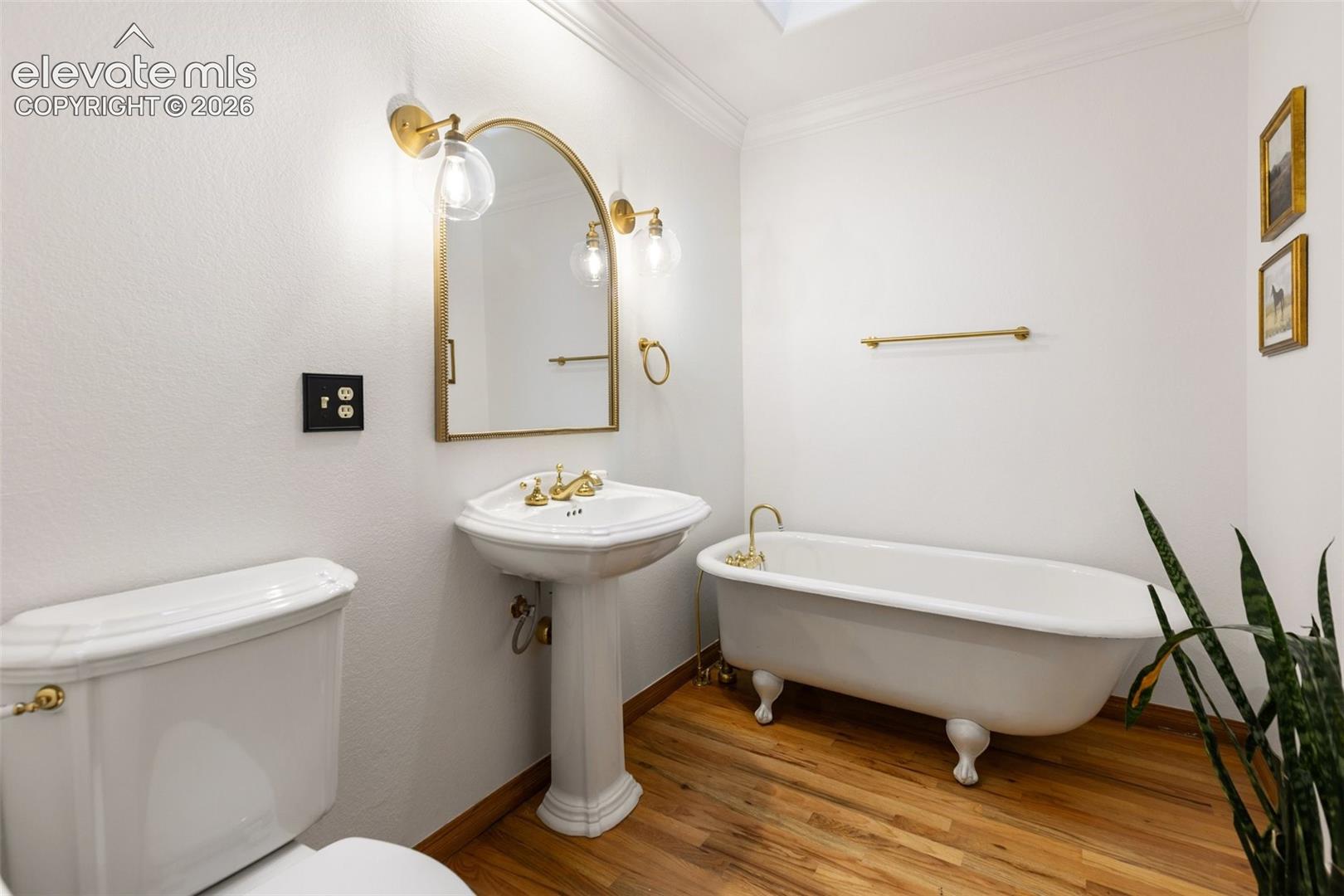 Guest Bath Main Level