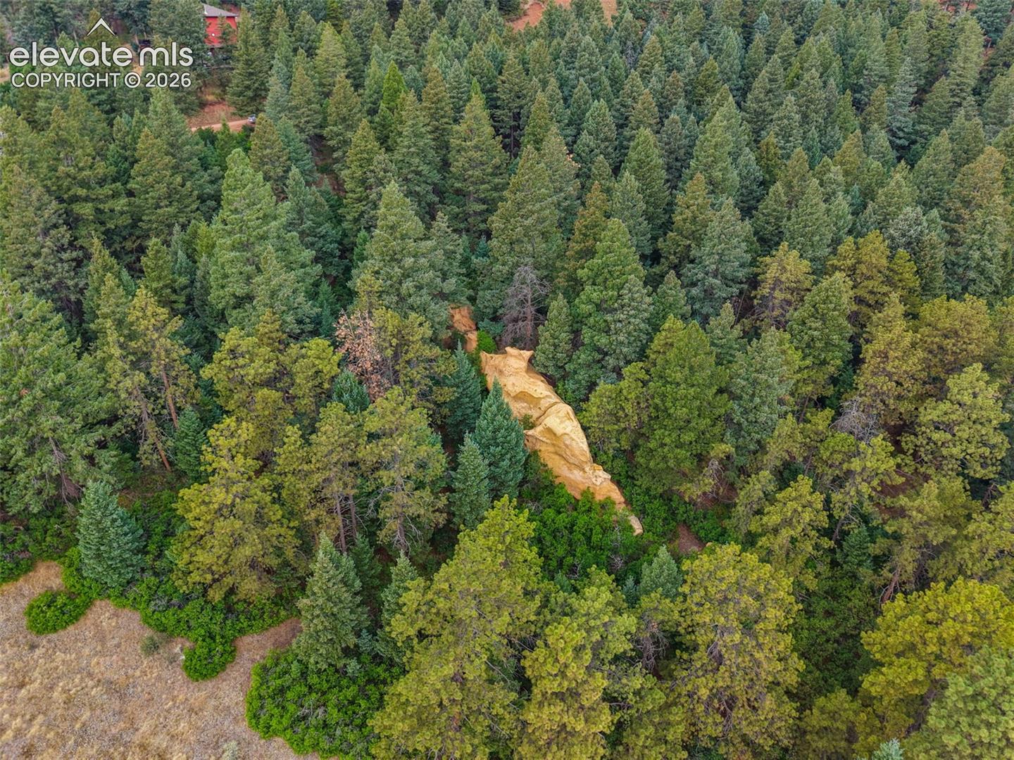 Photo 9 of 13665 Woodmoor West Drive, Larkspur