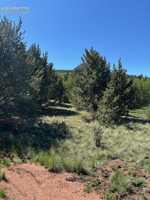 Photo 6 of 124 Yorktown Road, Cripple Creek