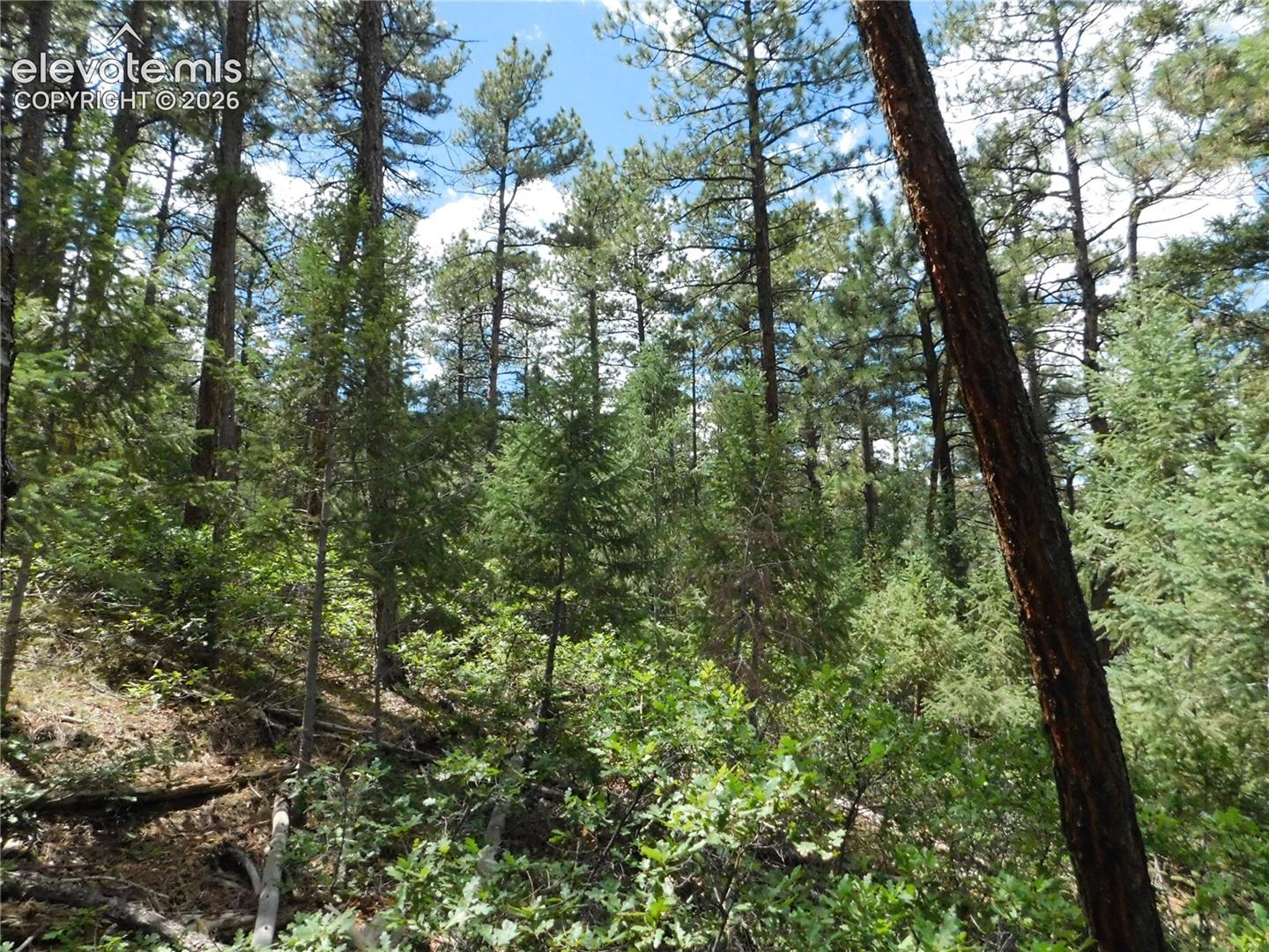 Photo 18 of 8139 Bannock Drive, Larkspur