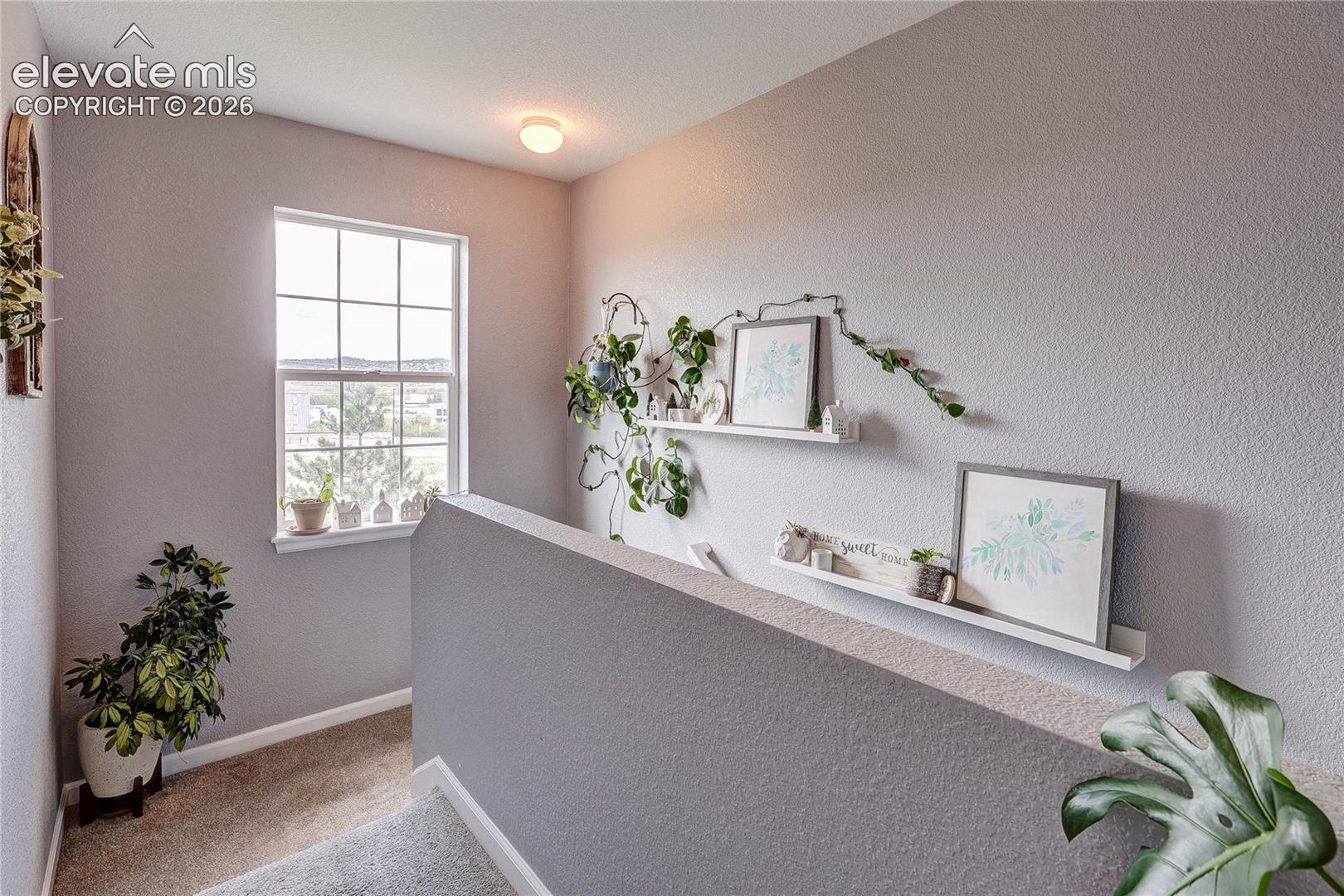 Photo 15 of 1458 Nemrick Place, Castle Rock