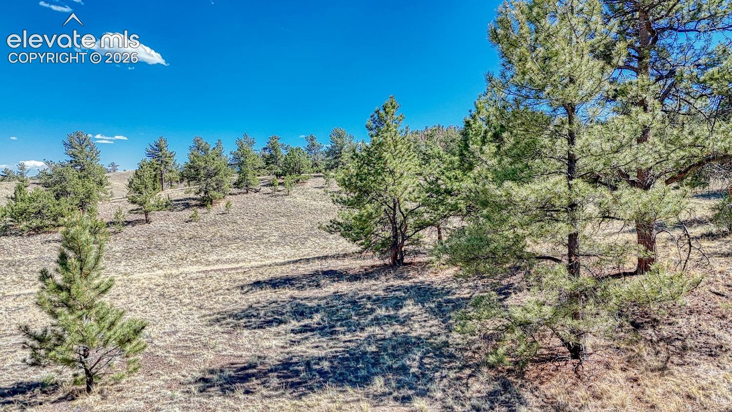 Photo 12 of Lot 11 Highway 9, Hartsel