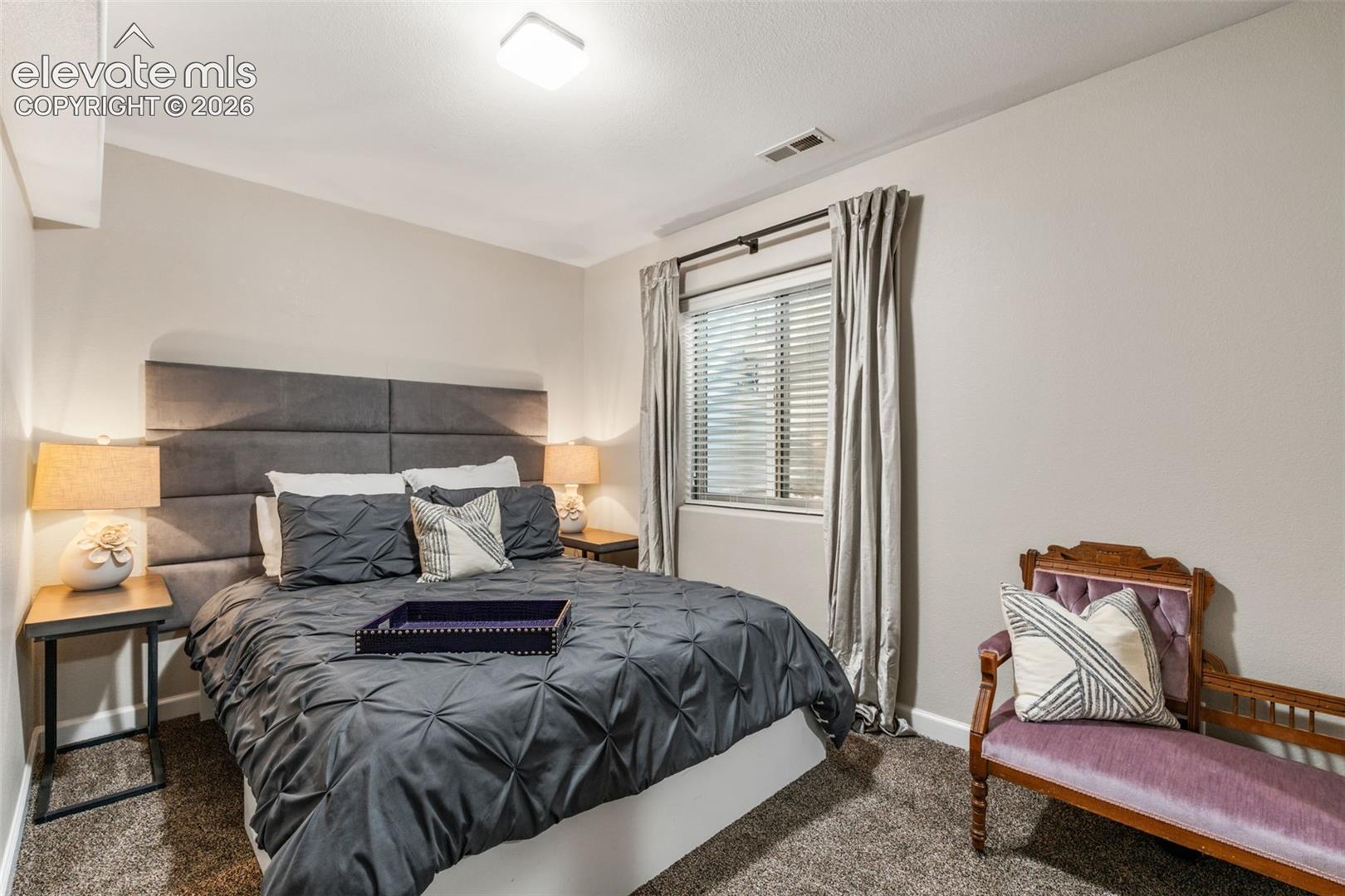 Bedroom featuring neutral wall paint, plush carpeting, a single-window configuration with horizontal blinds, and a flush-mount ceiling light fixture