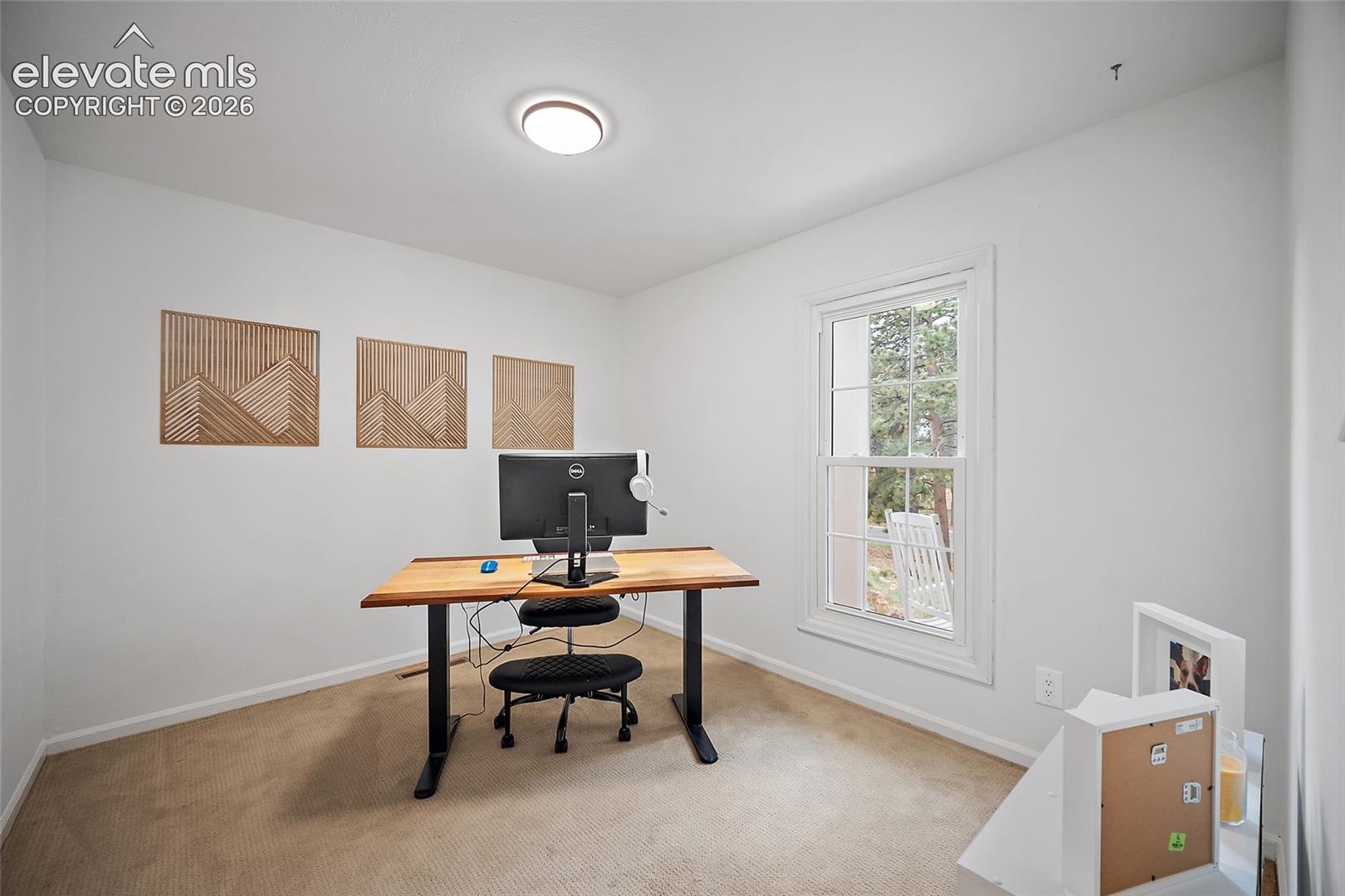 Neutral-toned interior space featuring carpeting, a double-hung window with muntins, and a flush-mount ceiling fixture