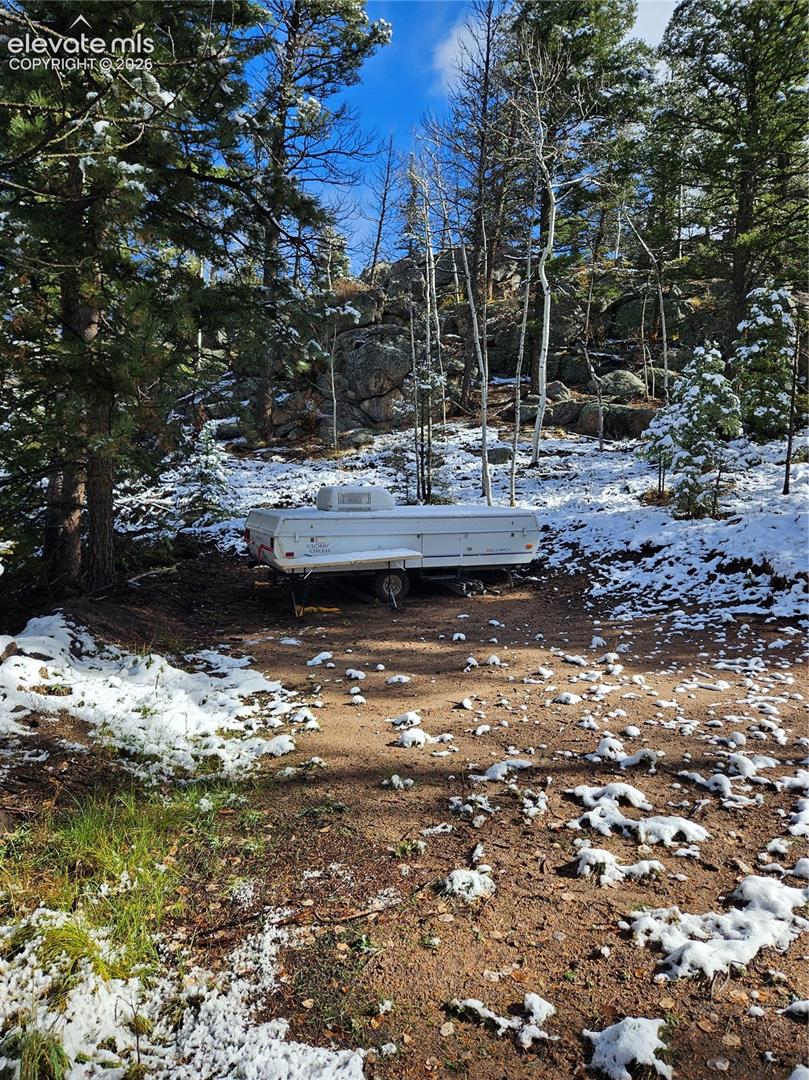 Wooded parcel featuring natural rock outcroppings, mature evergreen trees, and native terrain