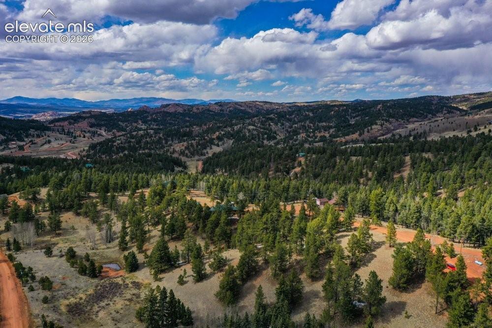 Aerial view featuring a forest view and a mountain view