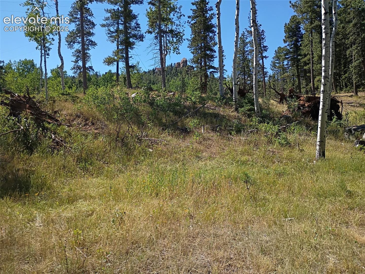 Natural Berm for privacy