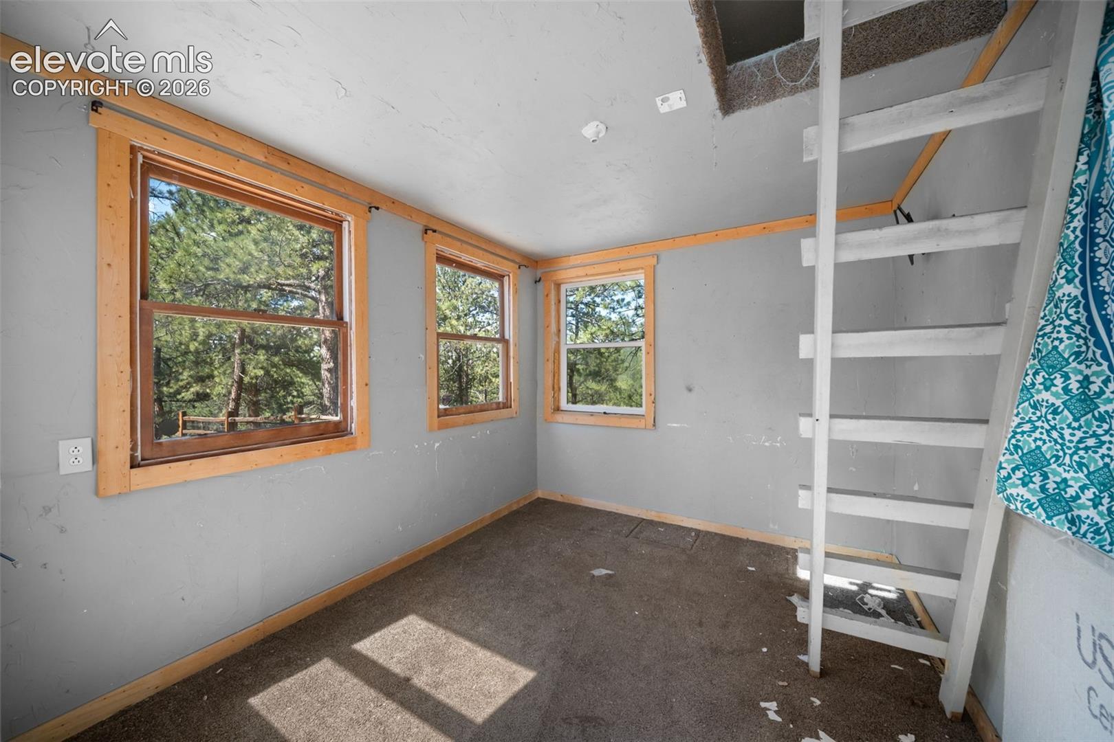 Inside of smaller shed. 