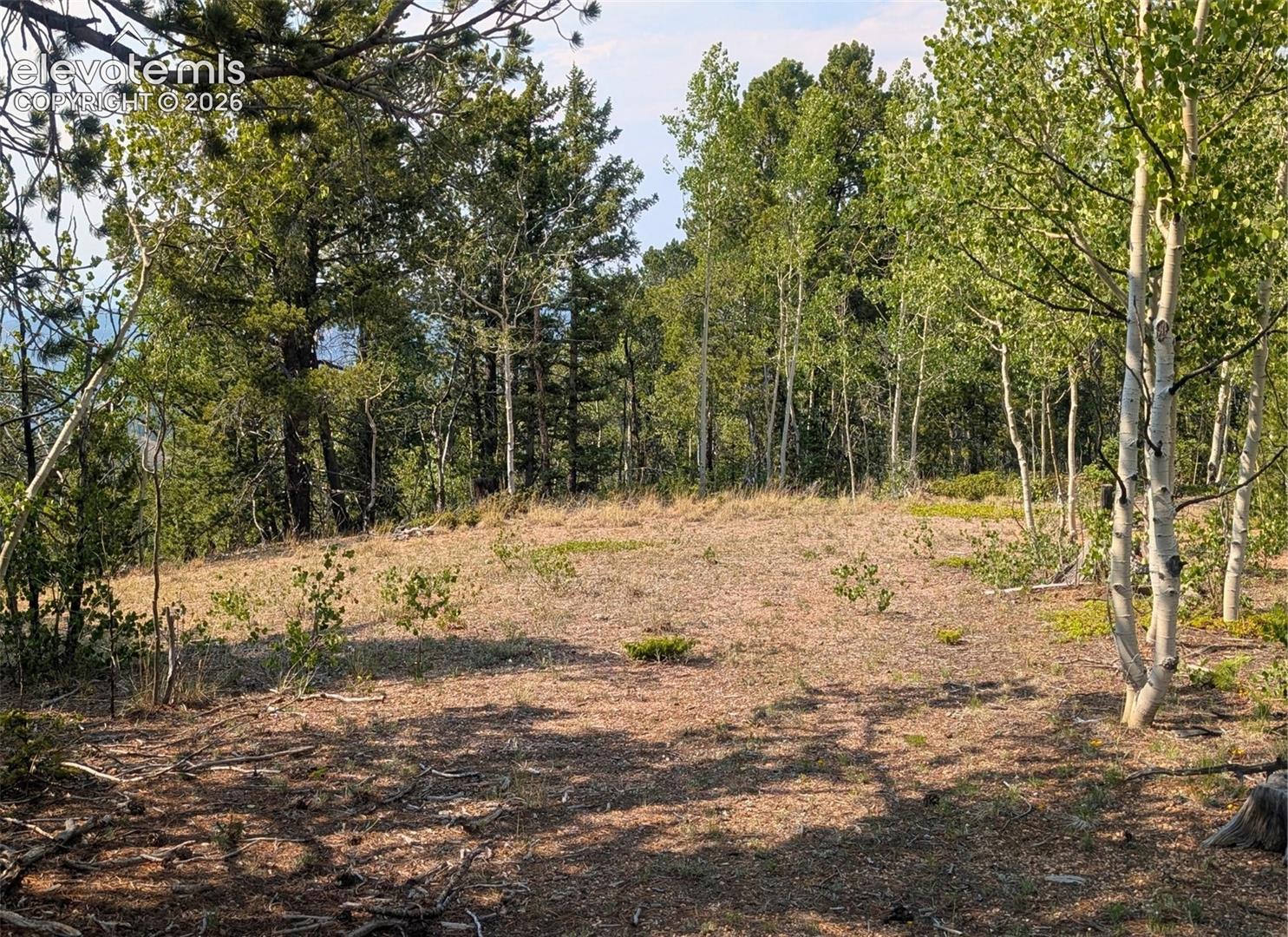 Photo 12 of Fairview Drive, Cripple Creek