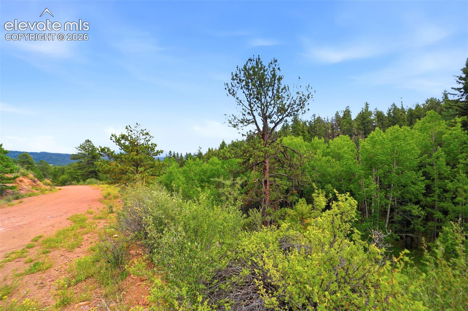 Photo 17 of 1310 Park Ridge Drive, Guffey