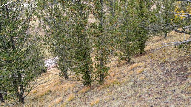 Photo 18 of 65 Portland Drive, Cripple Creek