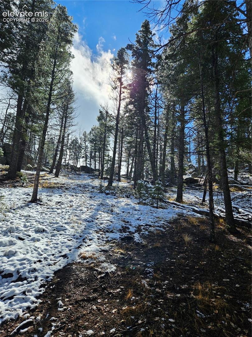 Wooded lot featuring mature evergreen trees, native rock outcroppings, and natural landscape terrain