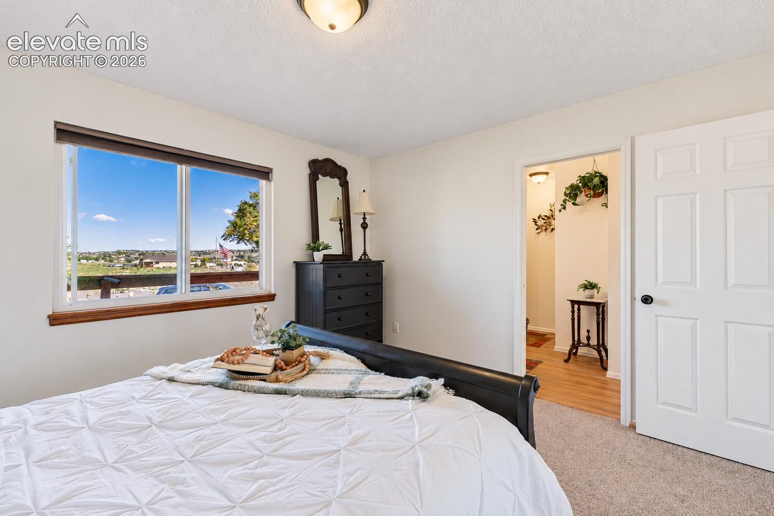 Neutral-toned room featuring a wide sliding window, carpeting, a flush-mount light fixture, and a six-panel door
