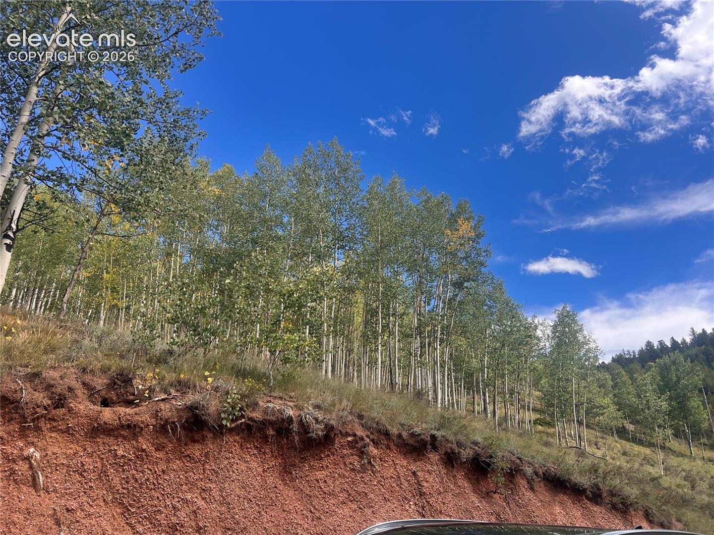 Photo 7 of 64 Grey Eagle Way, Cripple Creek
