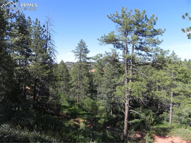 Photo 17 of 8117 Acoma Drive, Larkspur