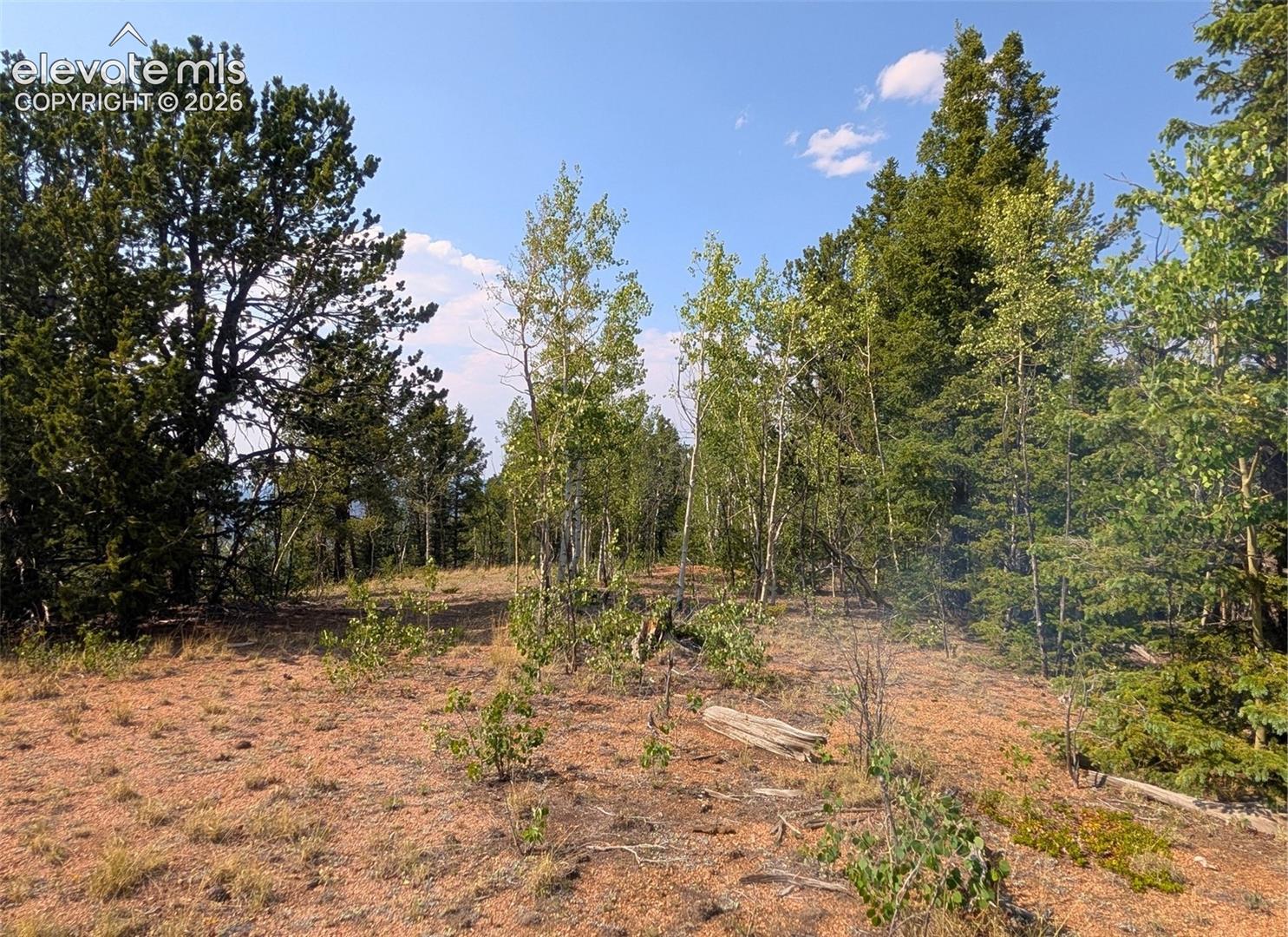 Photo 14 of Fairview Drive, Cripple Creek