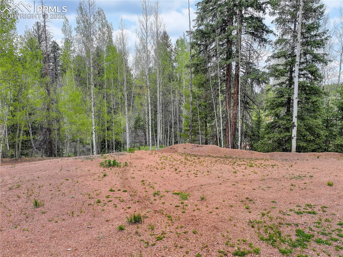 Spacious area ready for a dream home