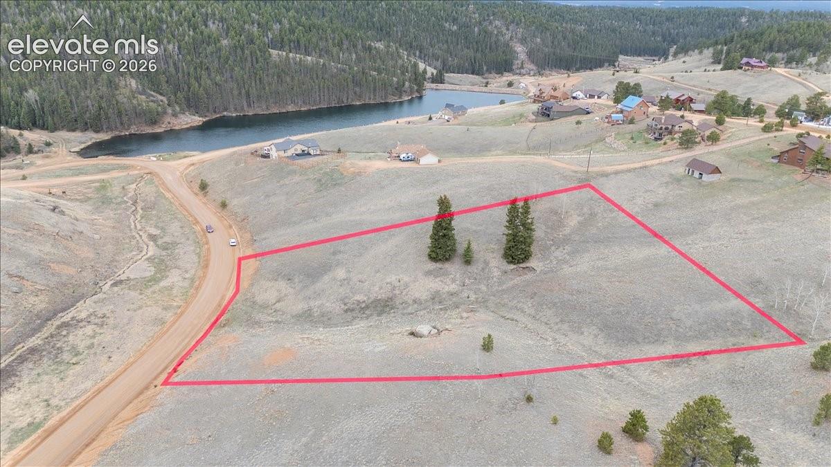 175 Twin Lakes Dr, Divide, CO 80814