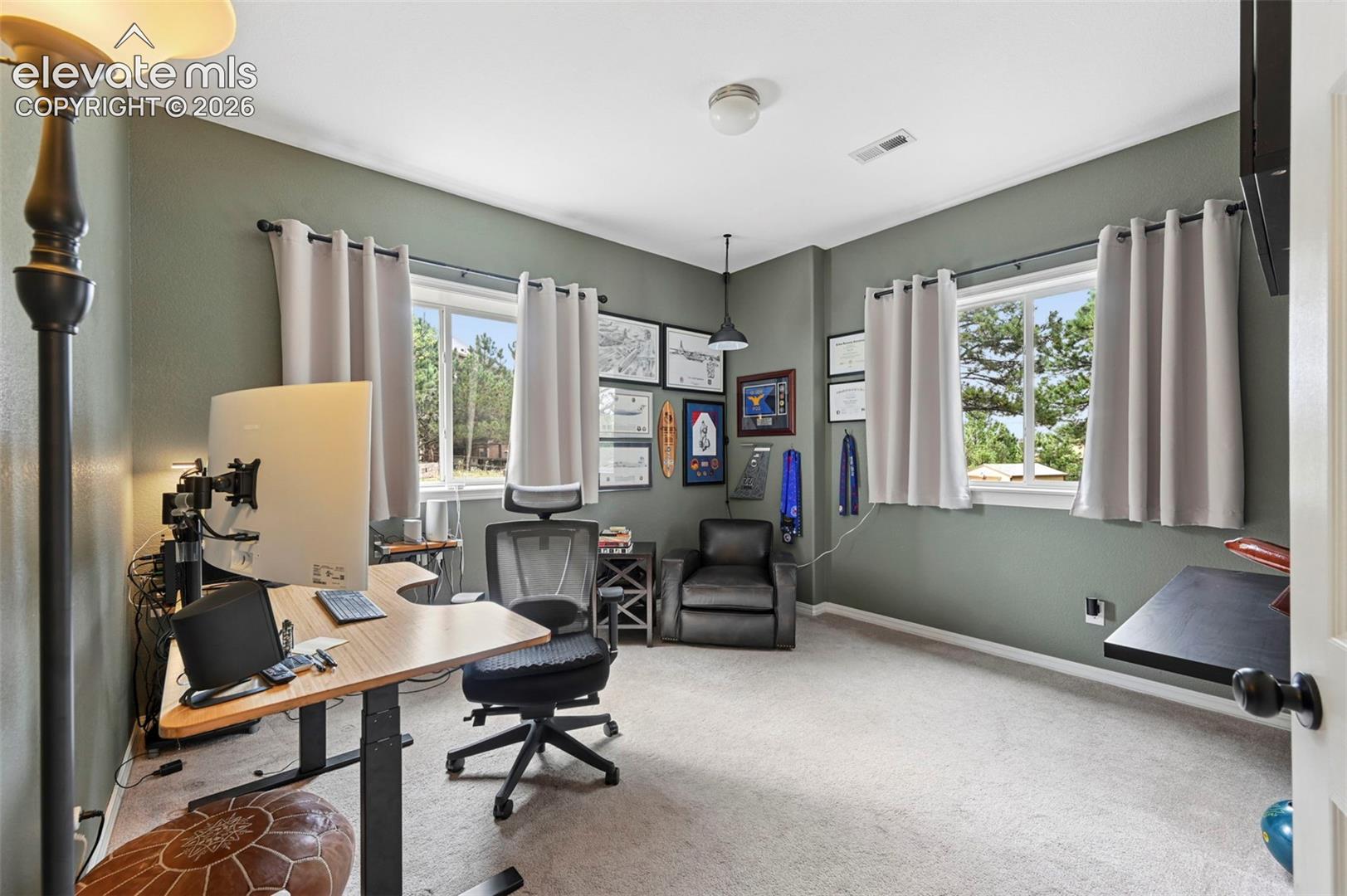 Light grey carpeting, two large windows, a ceiling-mounted light fixture, and a neutral wall color