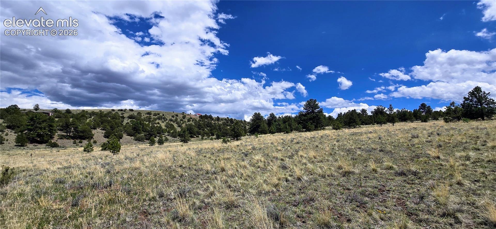 Expansive land parcel featuring native grassland with scattered evergreen and deciduous tree coverage