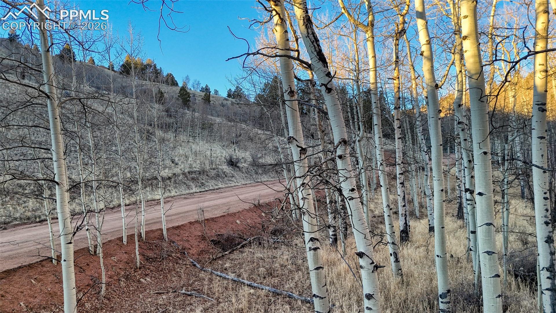 Photo 8 of 524 Buckhorn Road, Cripple Creek