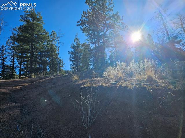 Photo 32 of 652 Derby Drive, Cripple Creek
