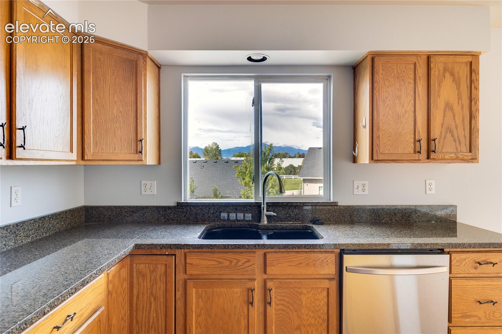Kitchen featuring extensive wood cabinetry, dark speckled countertops, a double basin sink with a high-arc faucet, and a stainless steel dishwasher