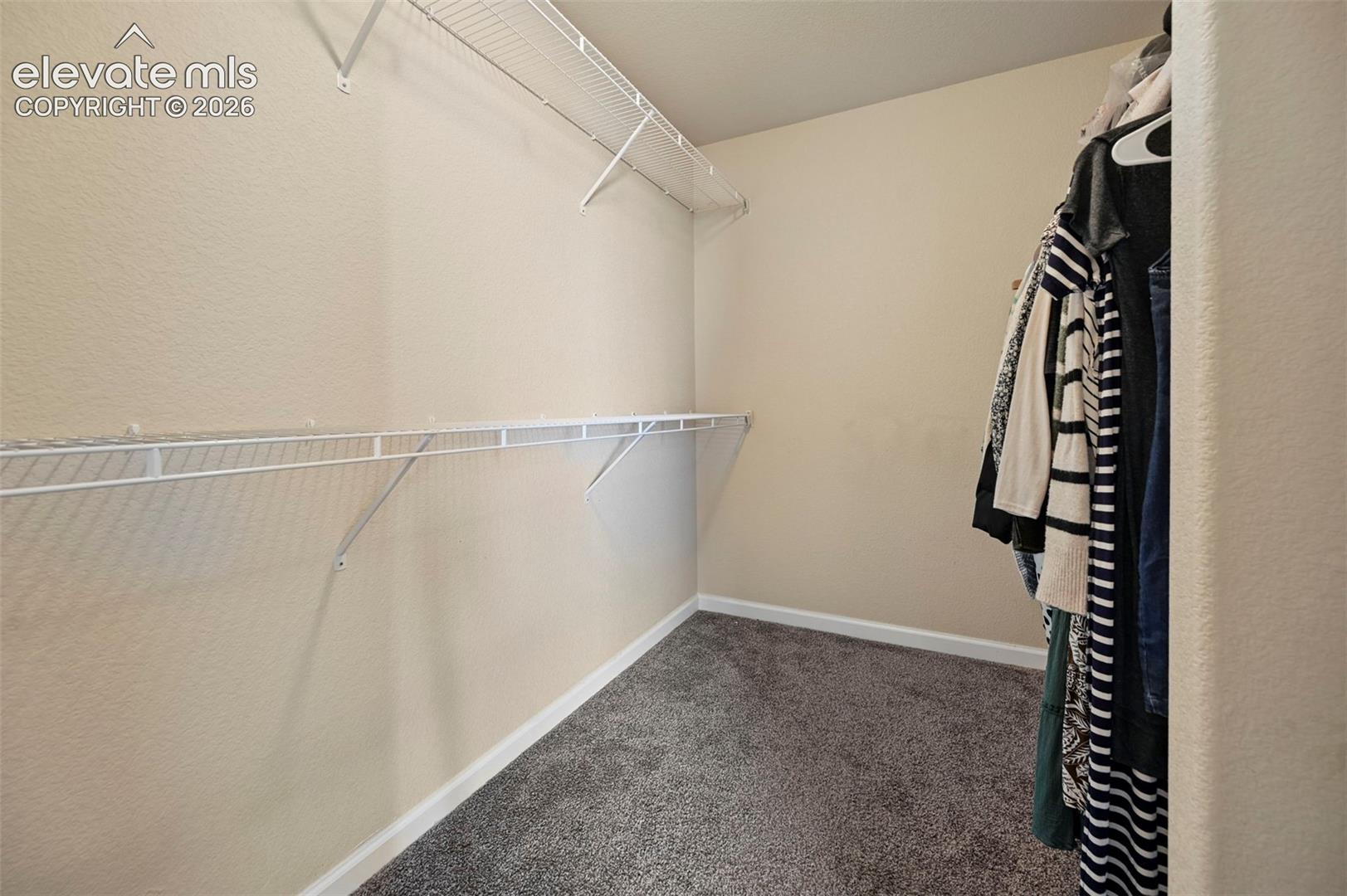 Storage area featuring wall-to-wall carpeting and multi-level white wire shelving