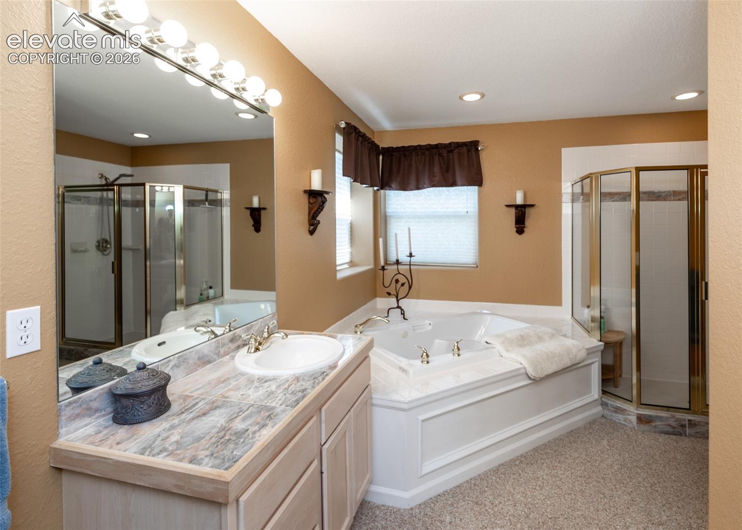 Basement Primary Suite Bathroom