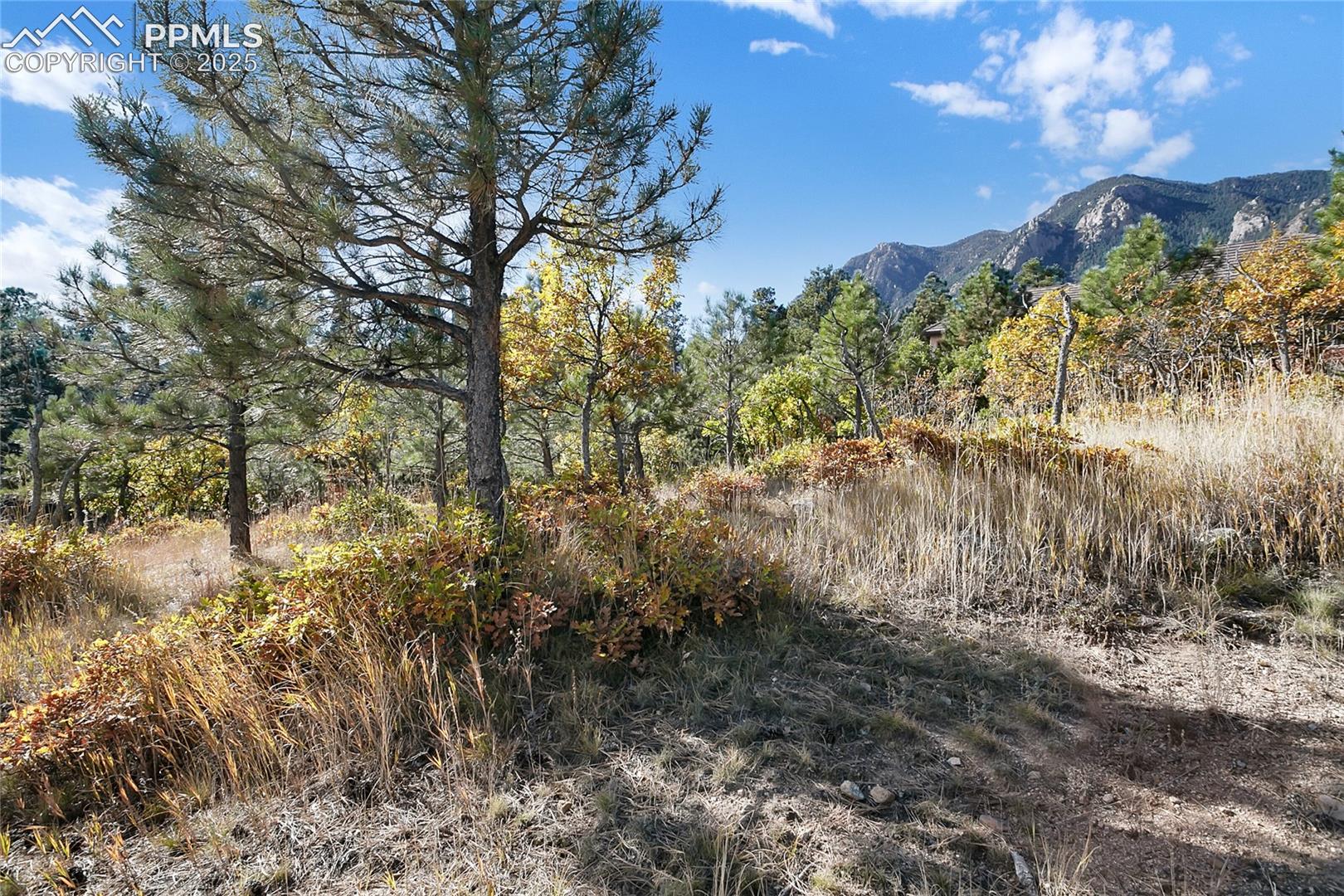 Photo 13 of 4688 Stone Manor Heights, Colorado Springs