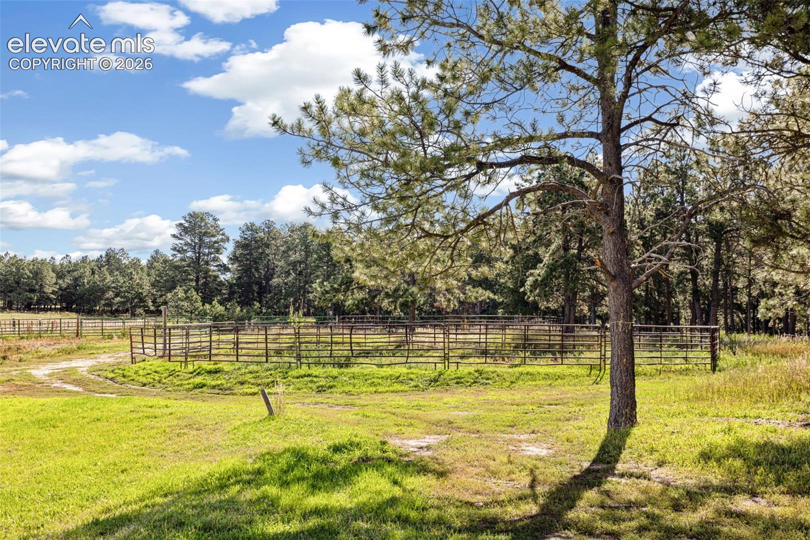 Photo 37 of 16685 Roller Coaster Road, Colorado Springs