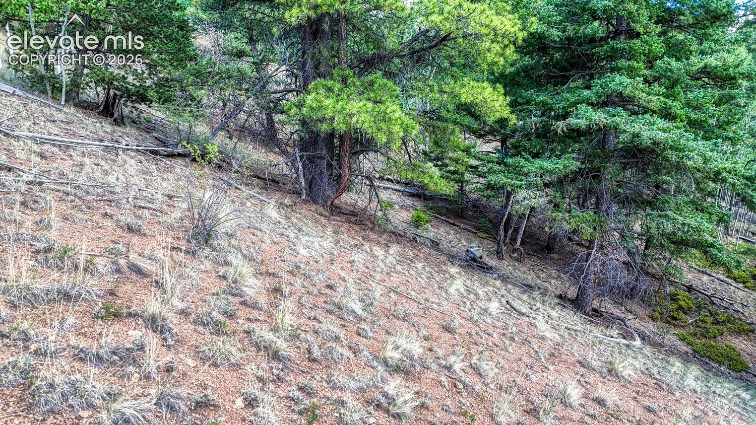 Photo 15 of 783 Bennett Drive, Cripple Creek