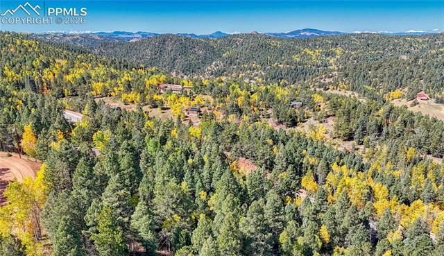 Photo 40 of 959 Calcite Drive, Divide