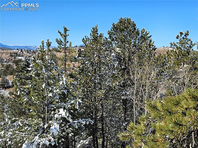 Photo 14 of 829 Princess Road, Cripple Creek