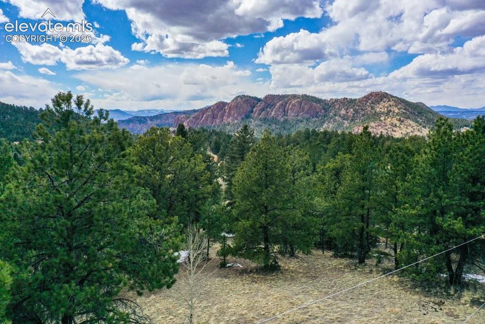 Property view of mountains with a wooded view