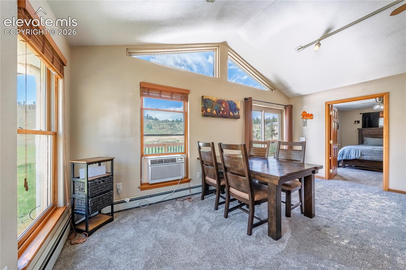 Photo 20 of 15970 Willow Way, Woodland Park