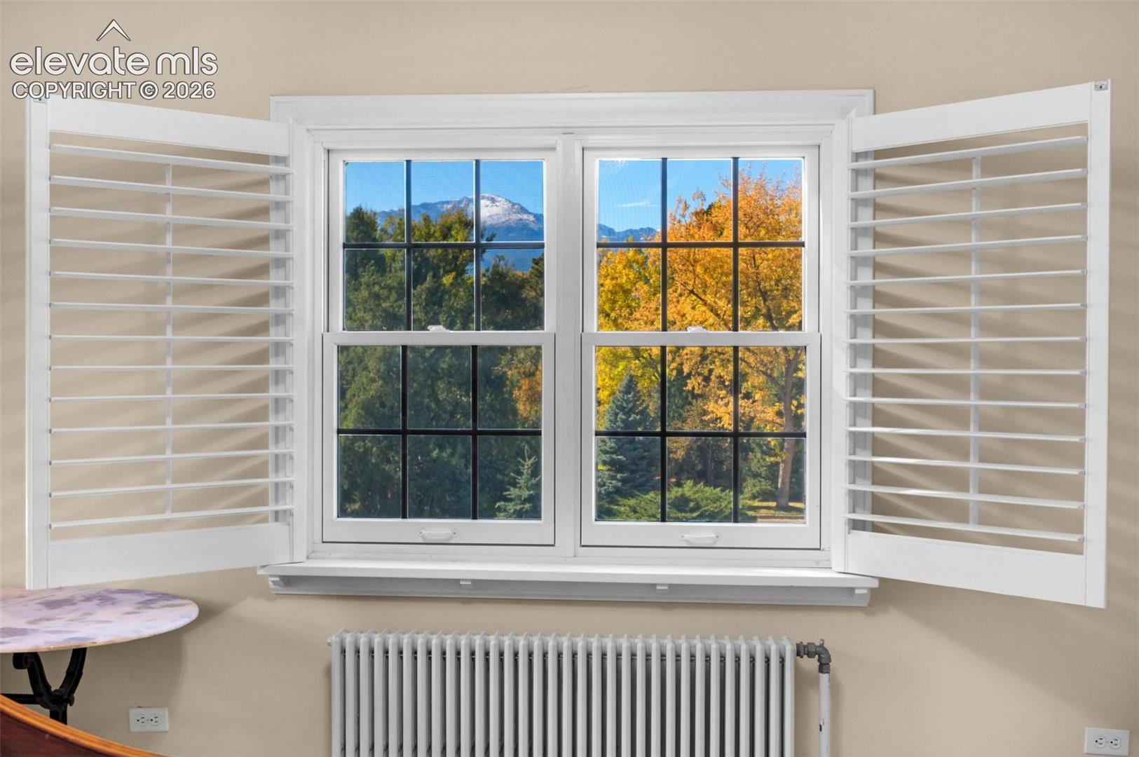 Double-hung window with muntin grid patterns, custom white plantation shutters, and a mountainous exterior backdrop