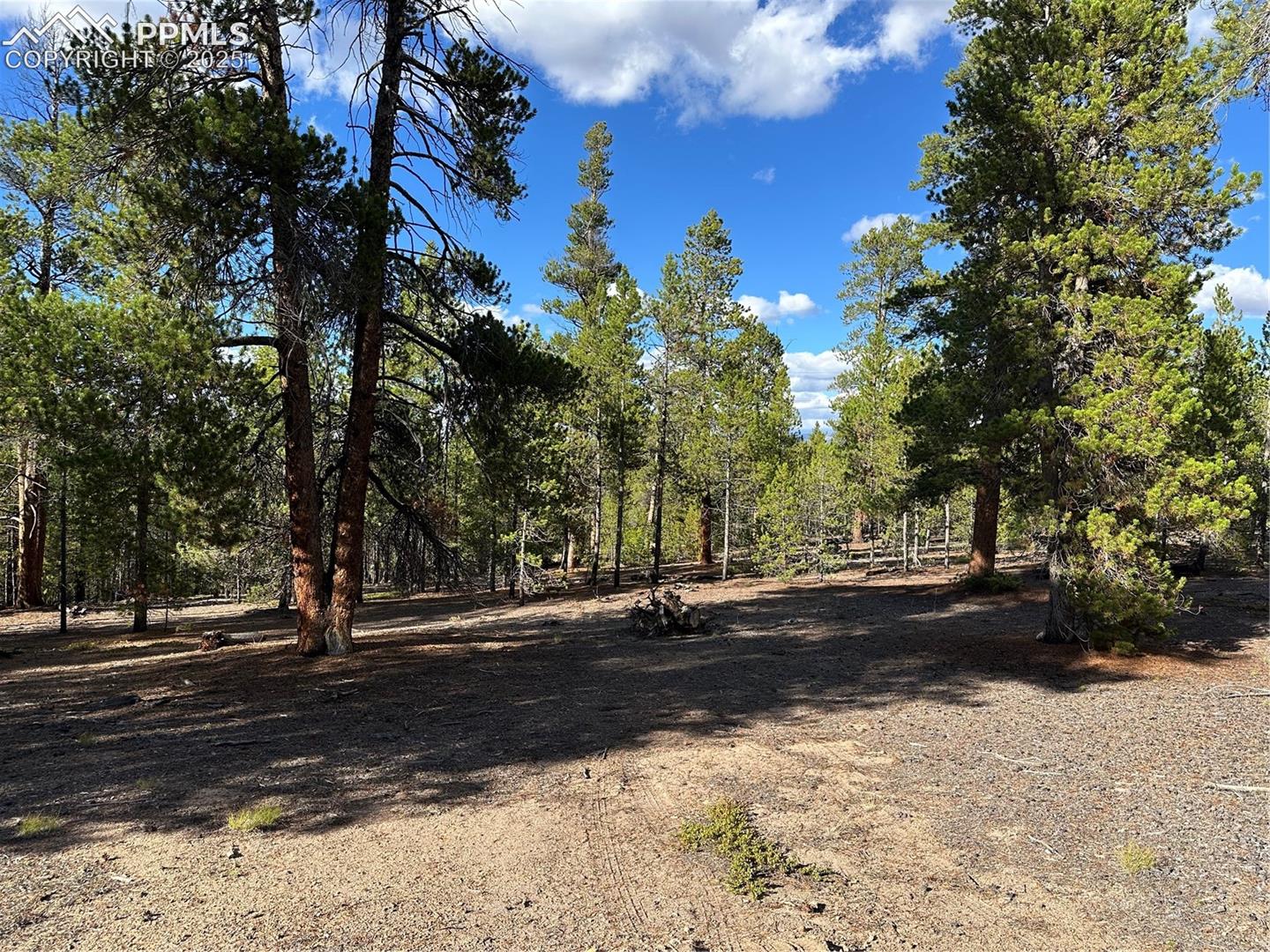 Photo 10 of 143 Fir Drive, Leadville