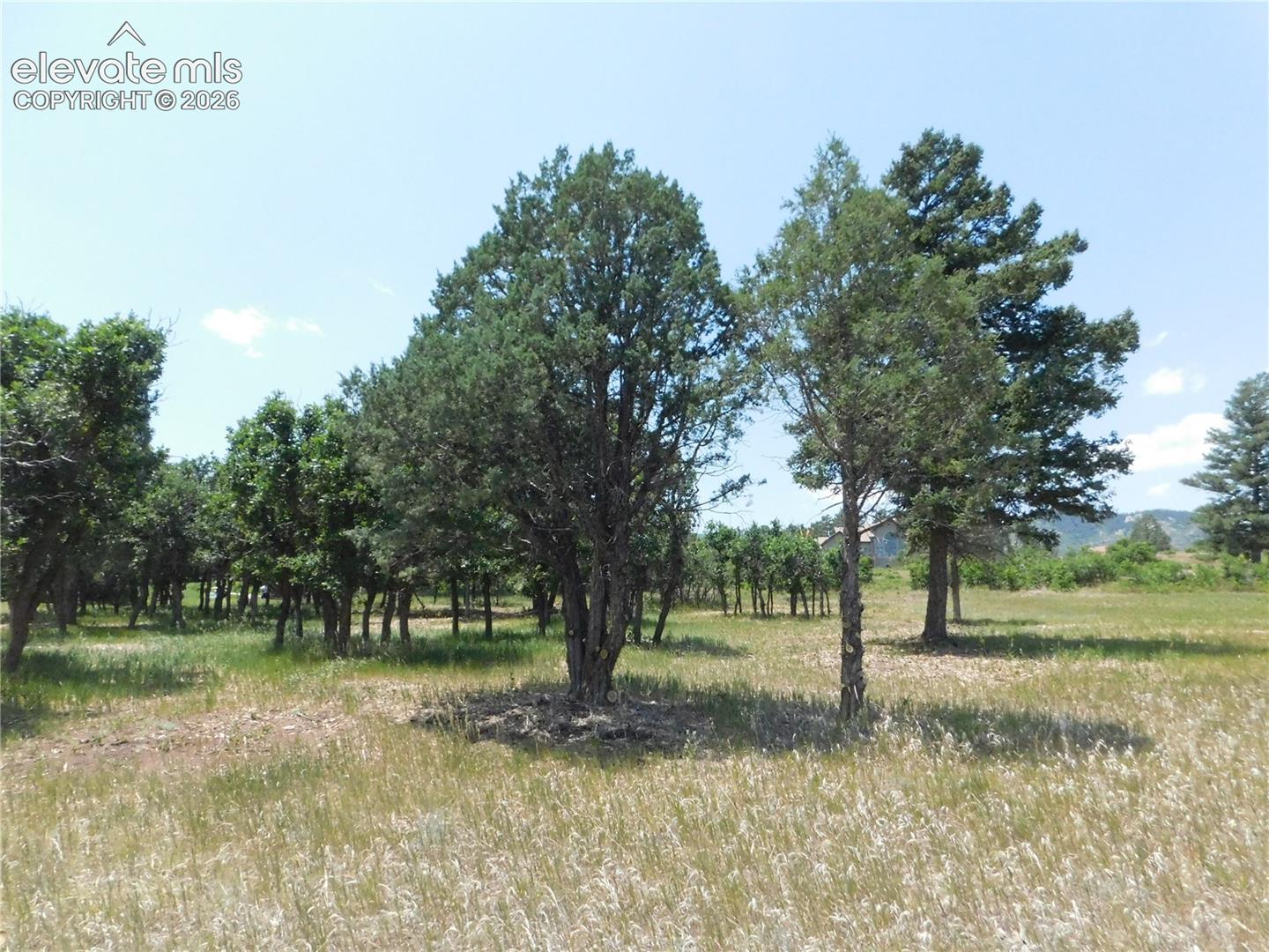 Photo 45 of 5980 Country Club Drive, Larkspur