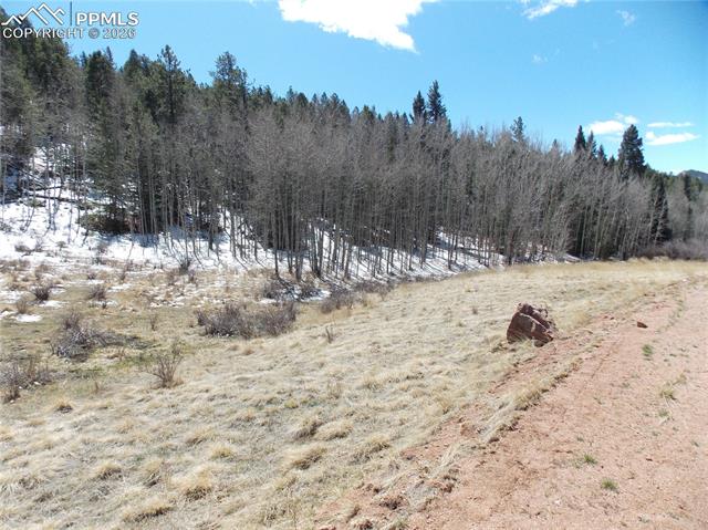 Photo 3 of 388 Grey Eagle Drive, Cripple Creek
