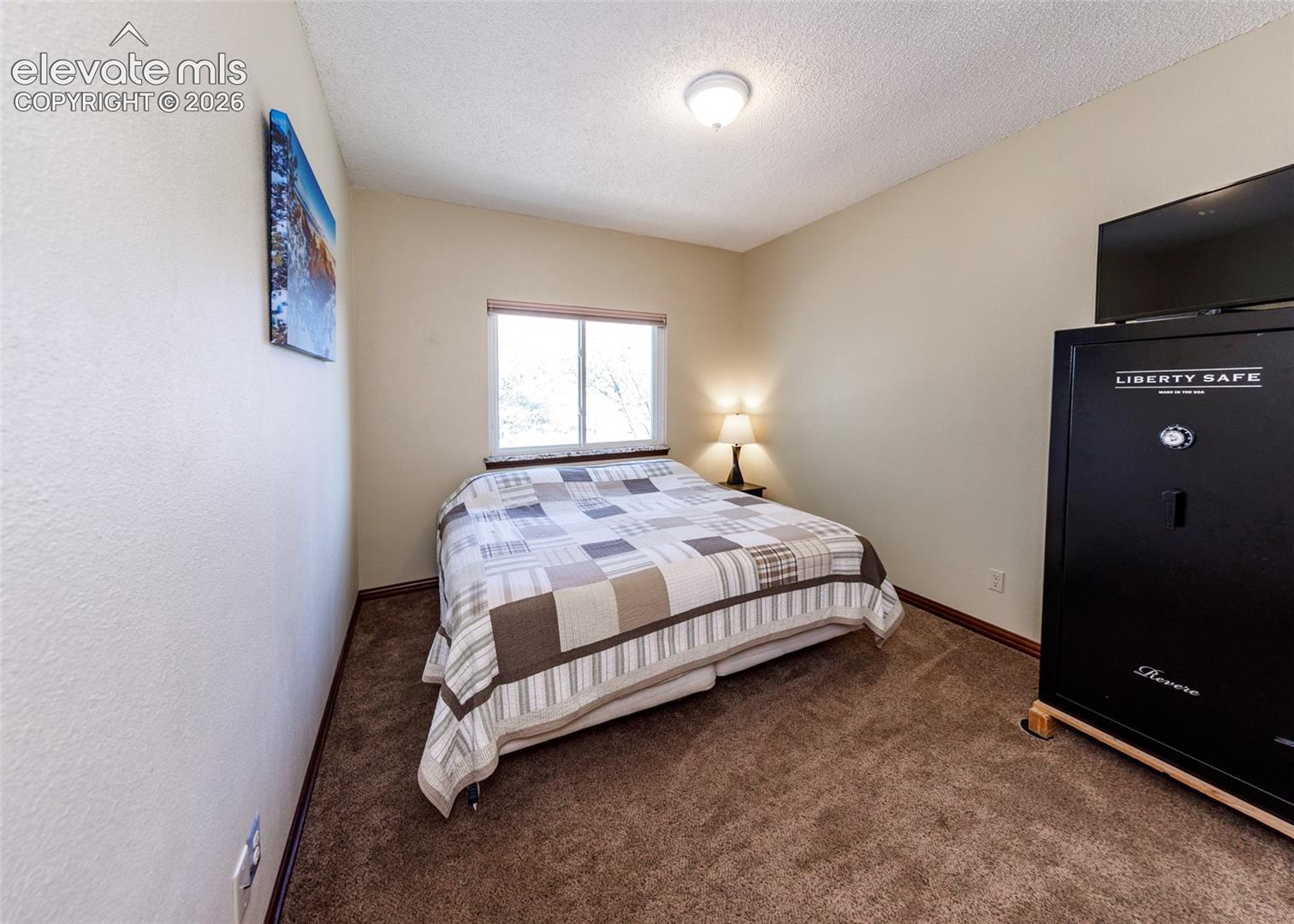 Carpeted flooring, neutral wall tones, and a window with natural light