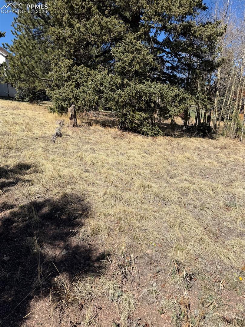 Photo 6 of 405 Meadow Park Drive, Divide